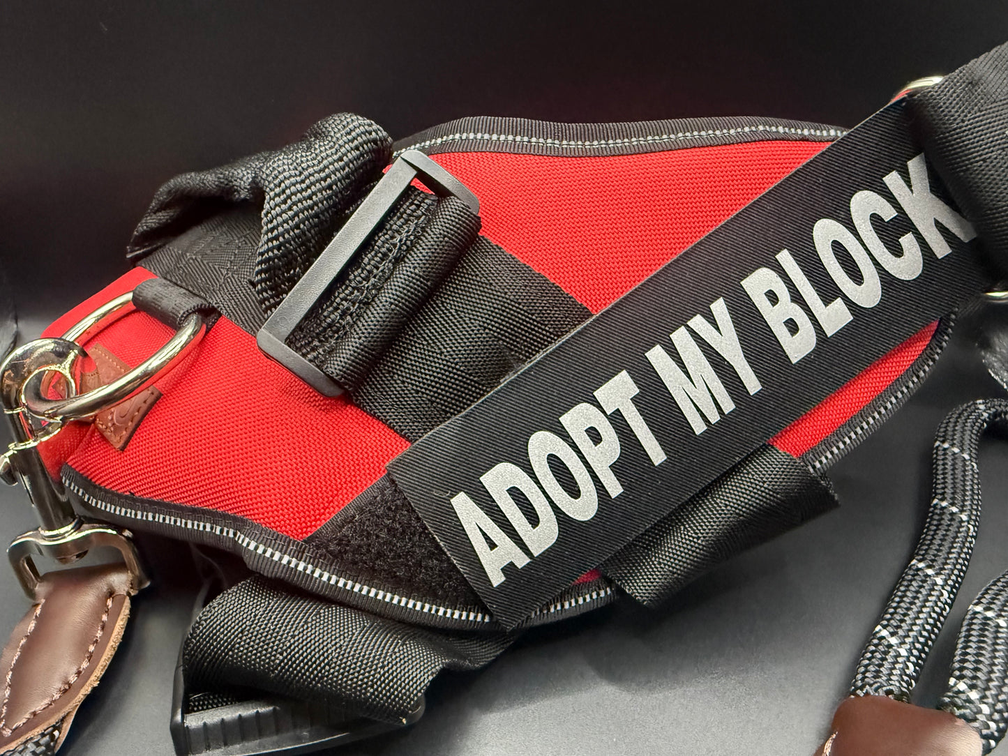Training Harness