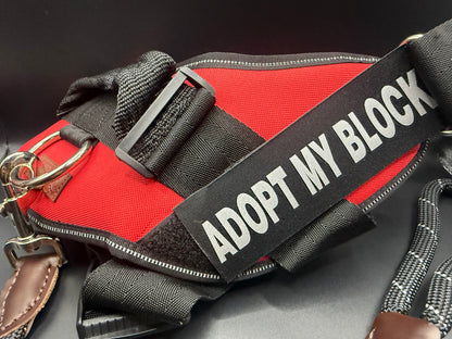 Training Harness