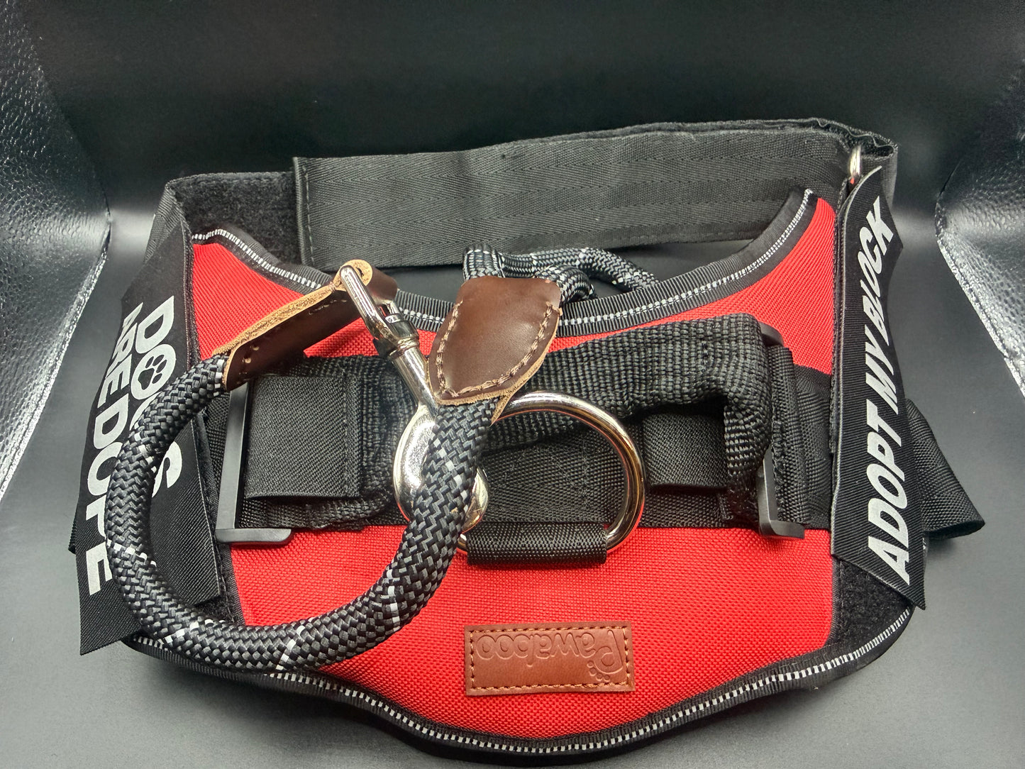 Training Harness