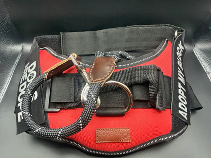 Training Harness