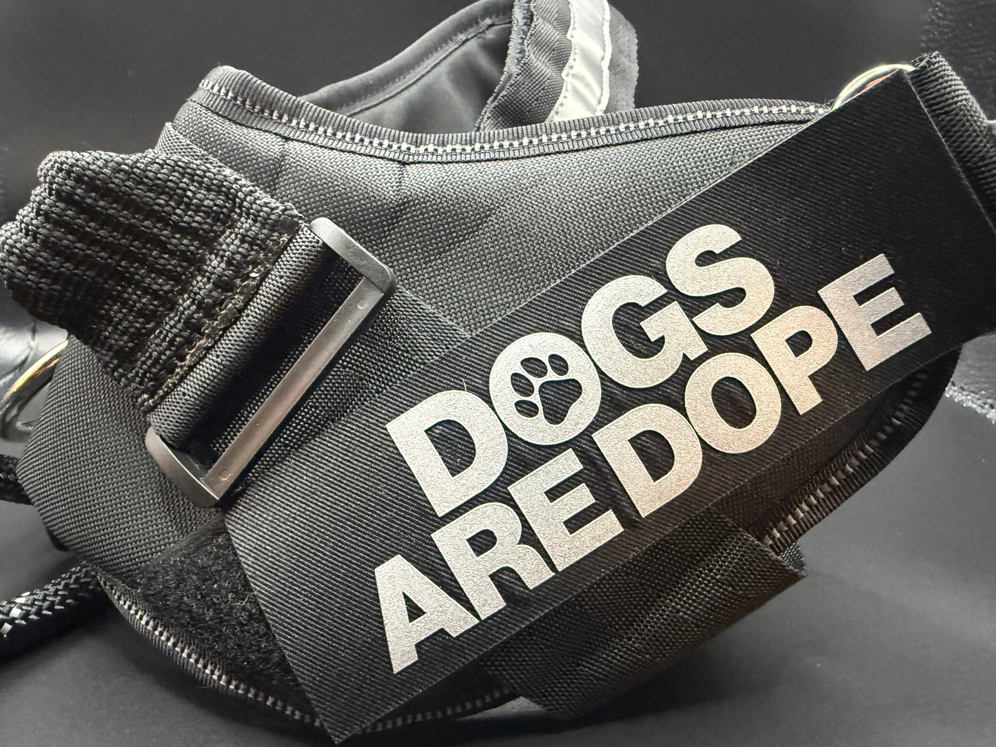 Training Harness