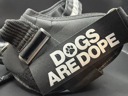 Training Harness
