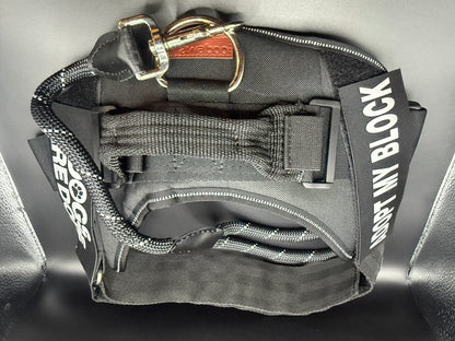 Training Harness